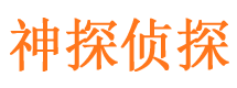 老城市私家侦探